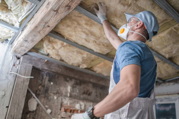 Best Geographic-Specific Insulation Services in West Melbourne, FL